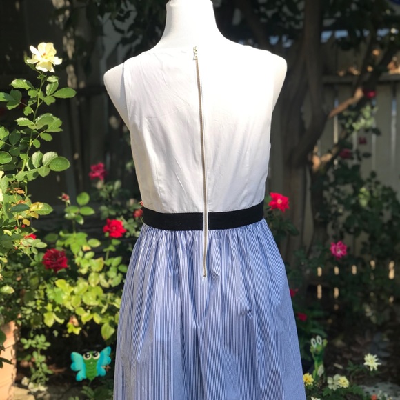 LOFT Cotton Sleeveless Sheath - Picture 4 of 6